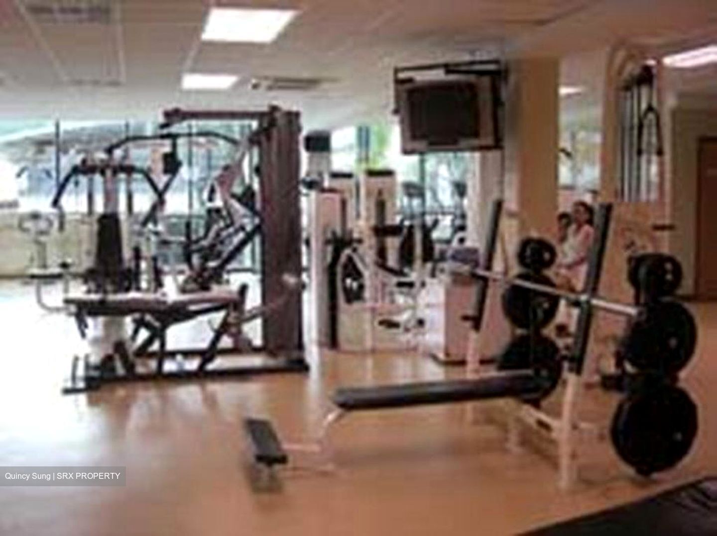 Emerald Garden (D1), Condominium #385037051